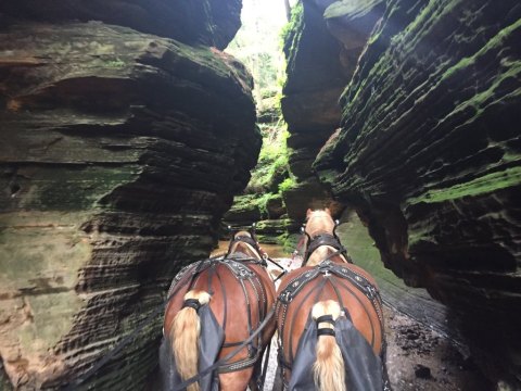 You Can Take A Horse-Drawn Carriage Ride Through This Narrow Wisconsin Canyon