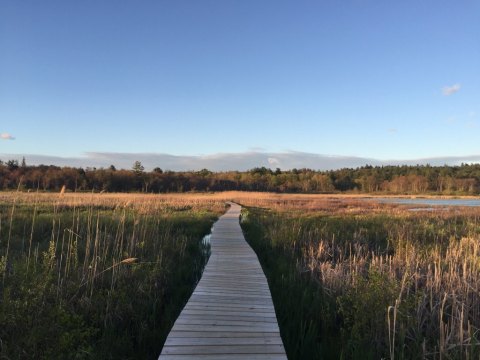 8 Stunning Boardwalks In Connecticut You Won't Find At The Beach