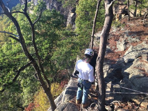 The Vertical Hiking Trail In West Virginia That's Unlike Any Other Adventure You've Ever Had
