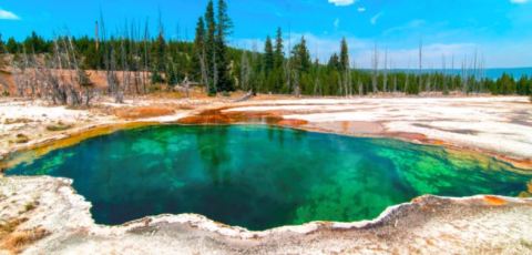 Why You Should Visit America's Enchanting Emerald Pool As Soon As Possible