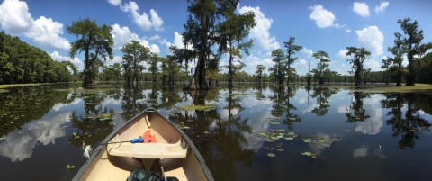 7 Gorgeous Hidden Lakes In Louisiana You'll Want To Visit Time And Time Again