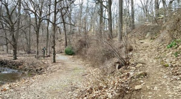 Hike To This Spring In Delaware That’s Said To Have Mystical Healing Powers