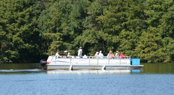 Take This Pontoon Boat Tour To Experience The Best Of This Delaware State Park