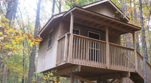 This Treehouse Campground In Maryland May Just Be Your New Favorite Destination