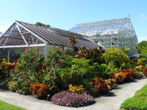 The Breathtaking Garden In Hawaii That's Like A Fairytale Come To Life