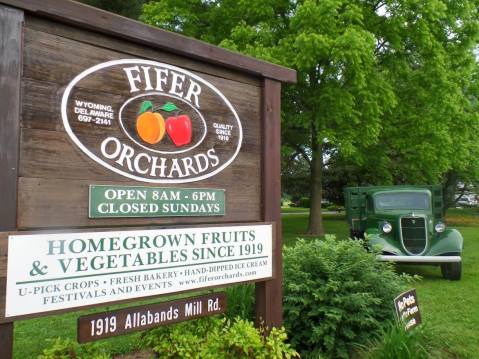 You’ll Have Loads Of Fun At This Pick-Your-Own Fruit Farm In Delaware