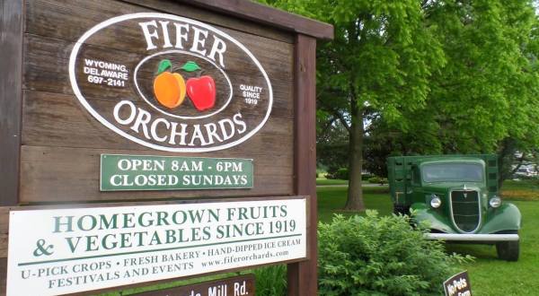 You’ll Have Loads Of Fun At This Pick-Your-Own Fruit Farm In Delaware