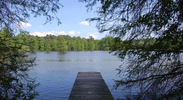 The Secluded Pond In Delaware That’s One Of The World’s Last Great Places
