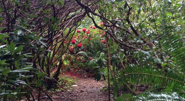 The Secret Garden Hike In Oregon Will Make You Feel Like You’re In A Fairytale