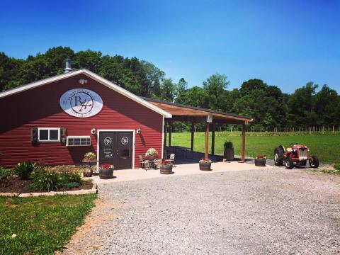 This Little Known Winery In West Virginia Is Hiding Some Of The Region's Best Wine