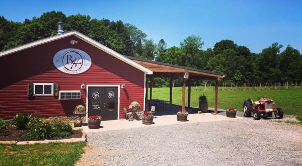 This Little Known Winery In West Virginia Is Hiding Some Of The Region’s Best Wine