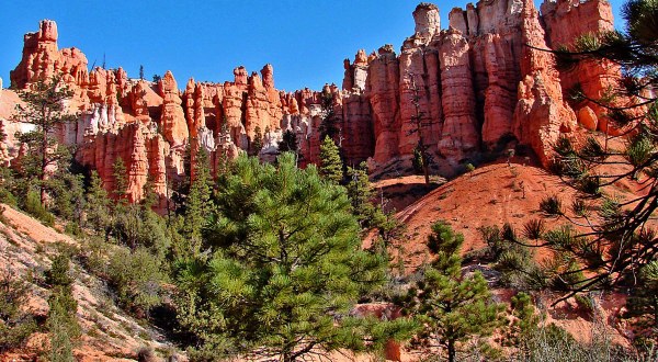 9 Totally Kid-Friendly Hikes In Utah That Are 1 Mile And Under