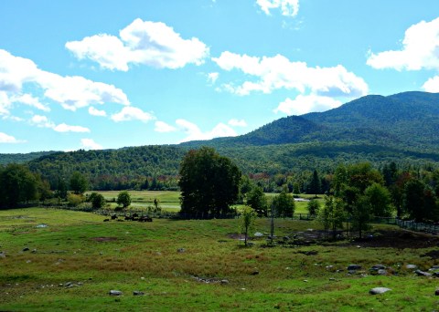 There’s A Buffalo Farm In New York And You’re Going To Love It