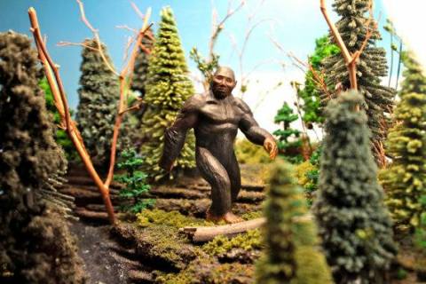 There’s A Bigfoot Festival Happening In Oregon And You’ll Absolutely Want To Go