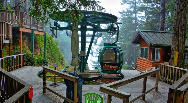 7 Amazing Treetop Adventures You Can Only Have In Northern California