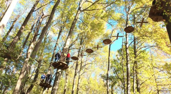 The Treetop Trail That Will Show You A Side Of Delaware You’ve Never Seen Before