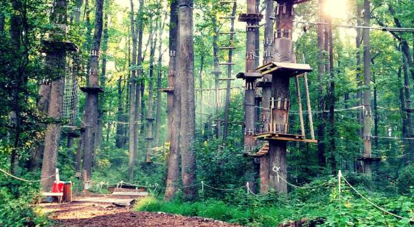 This Family-Friendly Adventure Park In Maryland Will Bring Out The Explorer In You