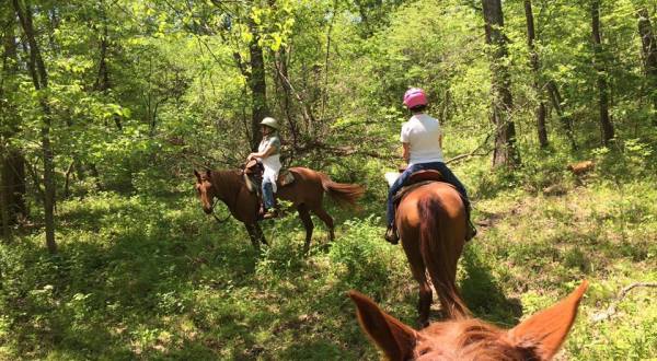 Take Your Family Horseback Riding Through The Missouri Ozarks For An Unforgettable Adventure
