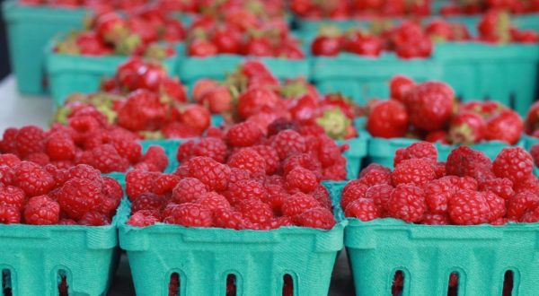 Everyone In Maine Must Visit This Epic Farmers Market At Least Once