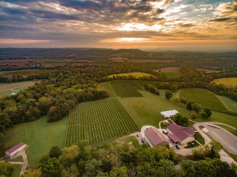 10 Small Town Wineries In Missouri You’ll Want To Explore
