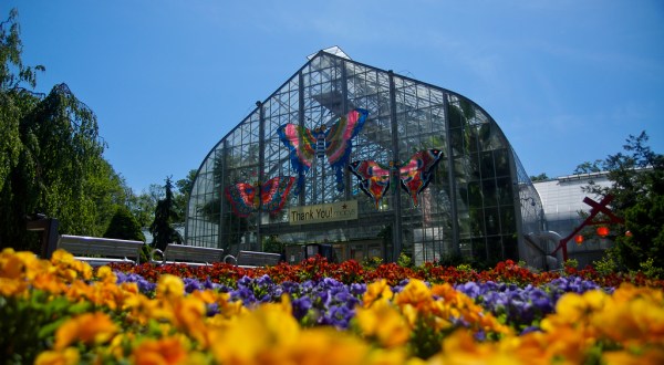 You’ll Want To Plan A Day Trip To Cincinnati’s Magical Butterfly House