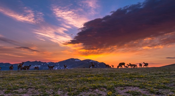 This Unbelievable Colorado Park Looks Like A Painting Come To Life