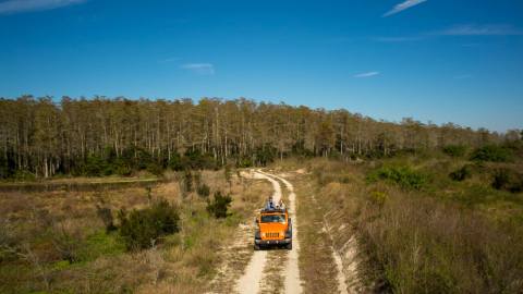 This Awesome Tour Will Show You A Side Of Florida You've Never Seen Before