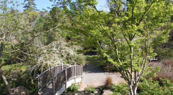 The Secret Garden Hike In Northern California Will Make You Feel Like You’re In A Fairytale