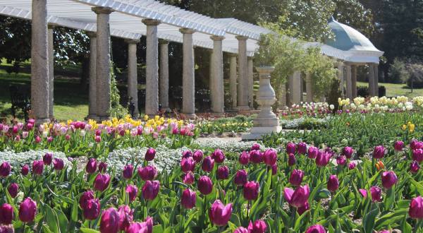 Everyone Will Love A Visit To Virginia’s Massive Tulip Garden