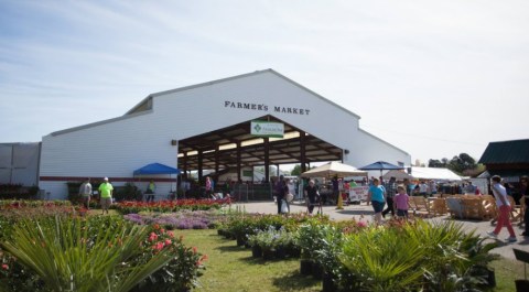 A Trip To This Gigantic Farmers Market in South Carolina Will Make Your Weekend Complete