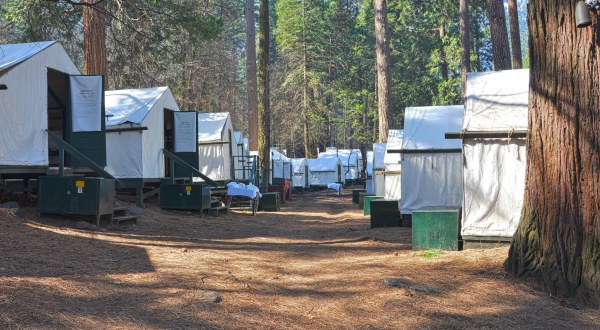 The Charming Tent Village In The Northern California Wilderness That You’ll Never Want To Leave