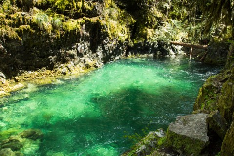 The Hike To This Gorgeous Oregon Swimming Hole Is Everything You Could Imagine