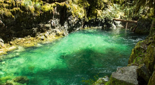 The Hike To This Gorgeous Oregon Swimming Hole Is Everything You Could Imagine