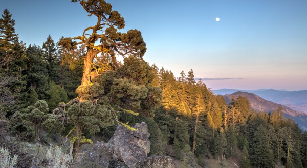 The One Incredible Trail That Spans The Entire State of Oregon