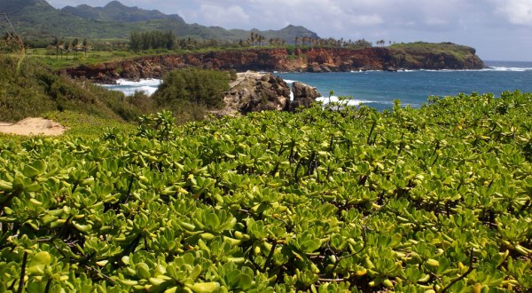 13 Of The Greatest Destinations Most Hawaii Locals Overlook