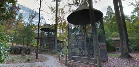 The Little Known Lemur Park In North Carolina Everyone In Your Family Will Love
