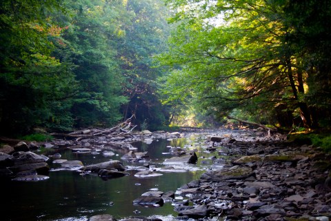 7 Lesser-Known State Parks Near Pittsburgh That Will Absolutely Amaze You