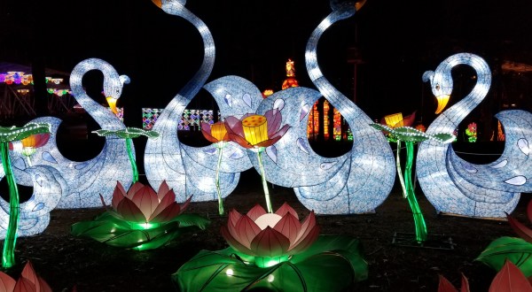 This Magical Summer Lights Festival In South Carolina Will Enchant You In The Best Way Possible