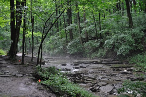 This Beautiful Trail Hiding In Cincinnati Will Make You Feel Miles Away From It All