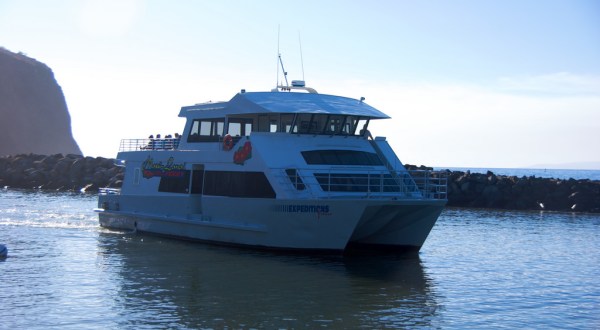The One Of A Kind Ferry Boat Adventure You Can Take In Hawaii
