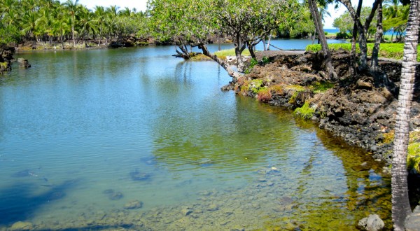Most People Have No Idea This Fascinating Park In Hawaii Even Exists