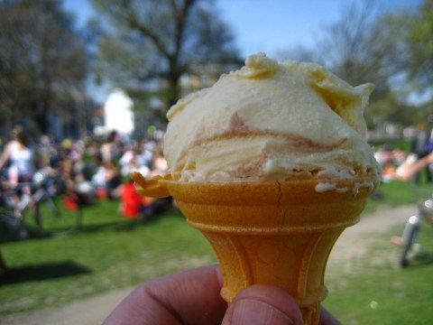 You Don't Want To Miss The Biggest, Most Delicious Ice Cream Festival In North Carolina