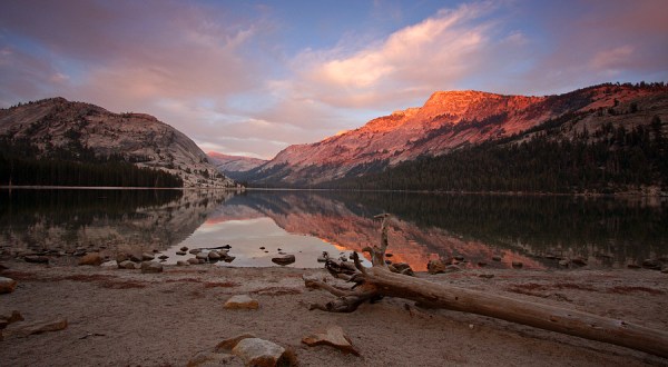Starbucks Opened A Location In Yosemite National Park And Not Everyone Was Happy About It