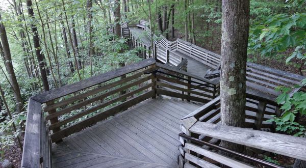 This Beautiful Boardwalk Trail In West Virginia Is The Most Unique Hike Around