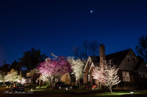 This Moonlight Bloom Walk In Kentucky Is The Most Magic You'll Experience This Spring
