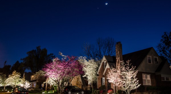 This Moonlight Bloom Walk In Kentucky Is The Most Magic You’ll Experience This Spring