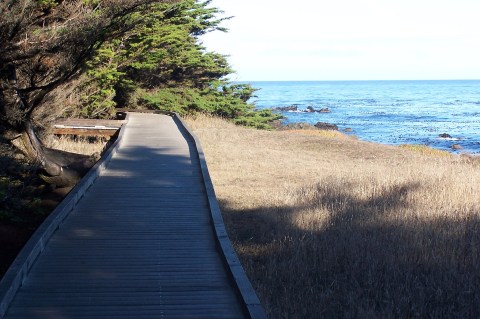 This Beautiful Boardwalk Trail In Northern California Is The Most Unique Hike Around