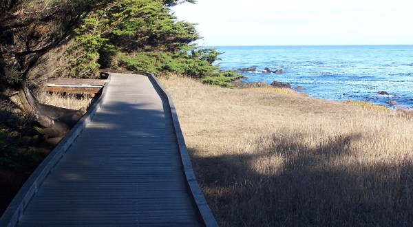 This Beautiful Boardwalk Trail In Northern California Is The Most Unique Hike Around