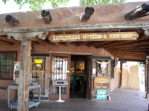 There’s A Rattlesnake Museum In New Mexico And It Looks As Amazing As It Sounds