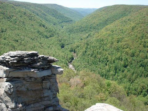 West Virginia Has A Grand Canyon, Blackwater Canyon And It's Incredibly Beautiful